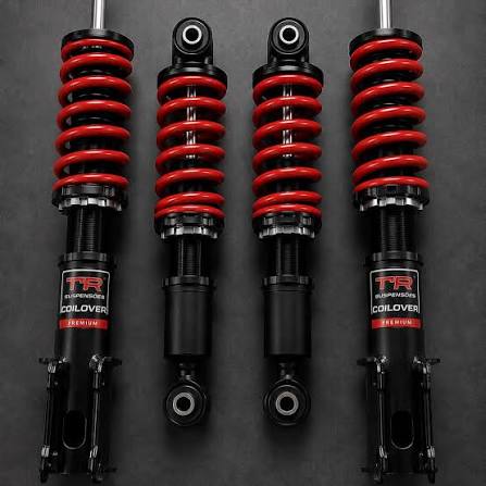 Coilover dampers with springs and mounting eyes shown in detail